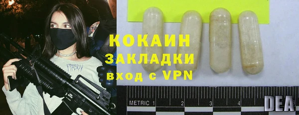 шишки Костерёво