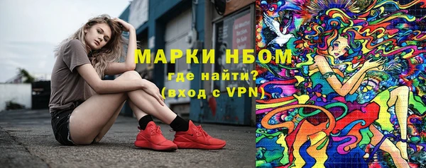 шишки Краснослободск