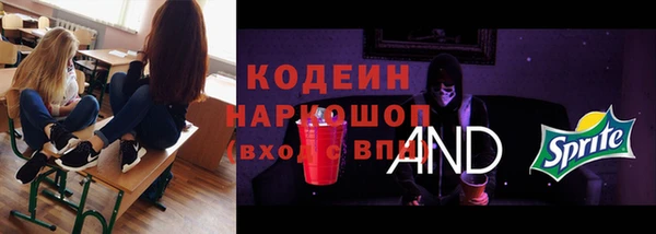 шишки Костерёво