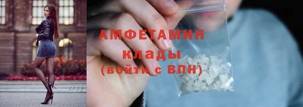 шишки Костерёво