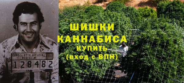 шишки Костерёво