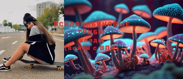 бошки Коряжма
