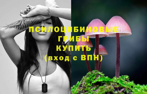 марки nbome Корсаков