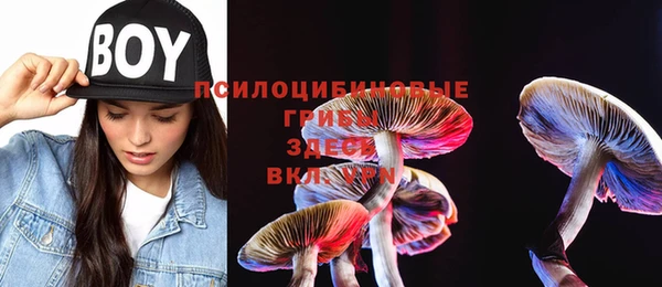 марки nbome Корсаков