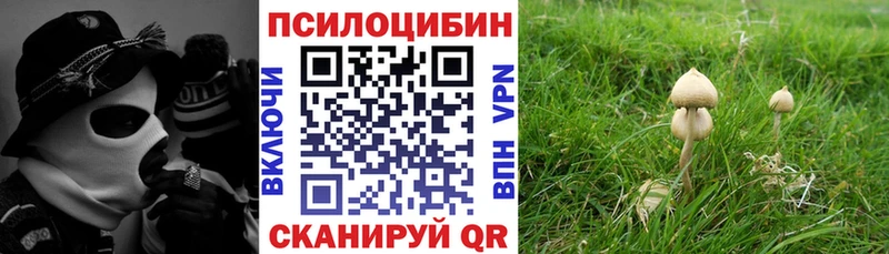 Галлюциногенные грибы мухоморы  Руза 
