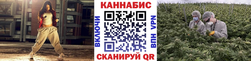 Конопля сатива  Руза 